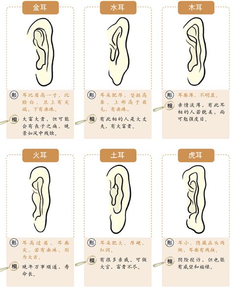 方形耳面相|十六种耳朵面相图文分析三六风水网